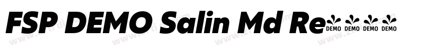 FSP DEMO Salin Md Re字体转换
